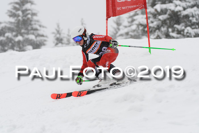 1. Ziener Cup SGW 2019