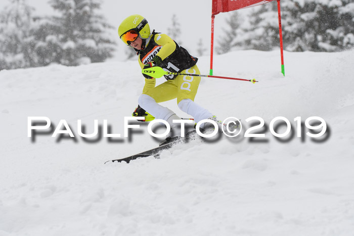 1. Ziener Cup SGW 2019