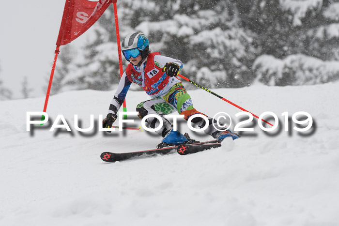 1. Ziener Cup SGW 2019
