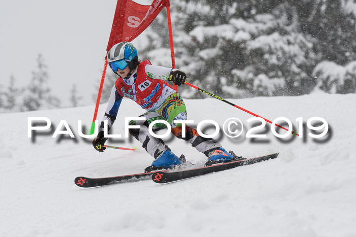 1. Ziener Cup SGW 2019