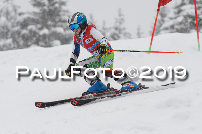 1. Ziener Cup SGW 2019