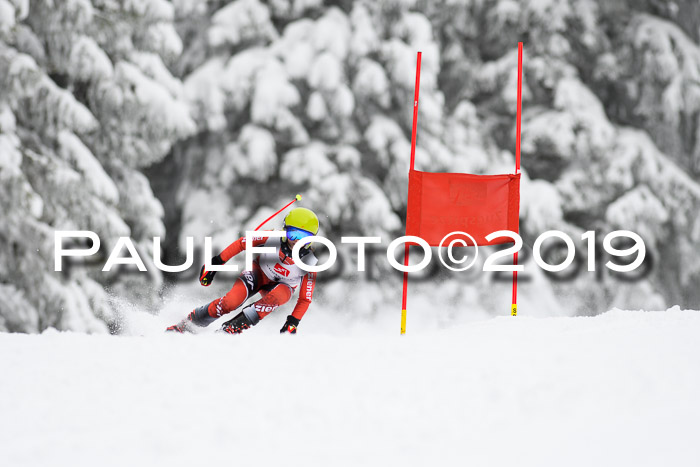 Werdenfelser Kinderskitag. mit Ziener und BZB Cup 2019