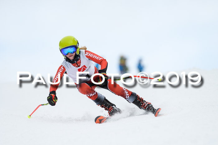 Werdenfelser Kinderskitag. mit Ziener und BZB Cup 2019