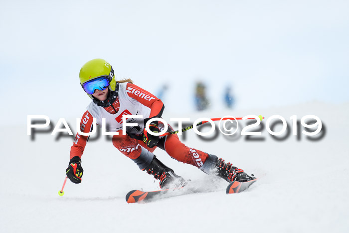 Werdenfelser Kinderskitag. mit Ziener und BZB Cup 2019