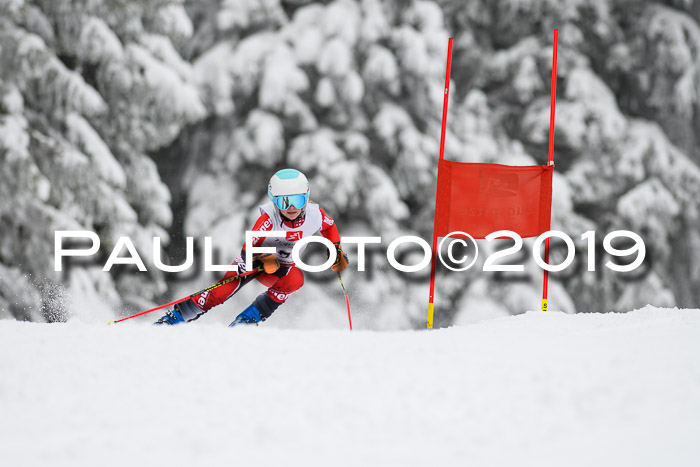 Werdenfelser Kinderskitag. mit Ziener und BZB Cup 2019