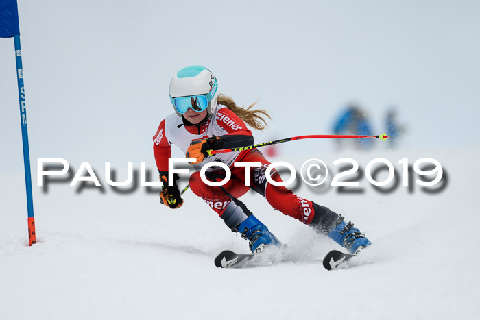 Werdenfelser Kinderskitag. mit Ziener und BZB Cup 2019