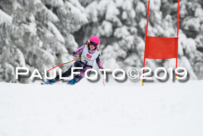 Werdenfelser Kinderskitag. mit Ziener und BZB Cup 2019