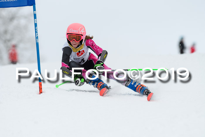 Werdenfelser Kinderskitag. mit Ziener und BZB Cup 2019