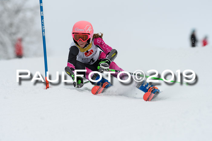 Werdenfelser Kinderskitag. mit Ziener und BZB Cup 2019