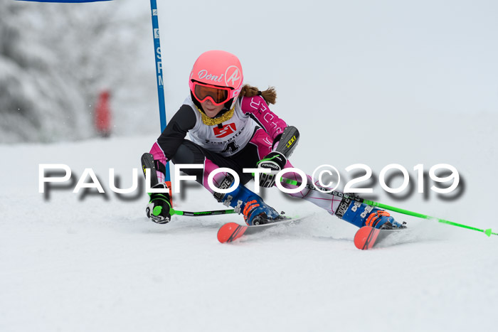 Werdenfelser Kinderskitag. mit Ziener und BZB Cup 2019