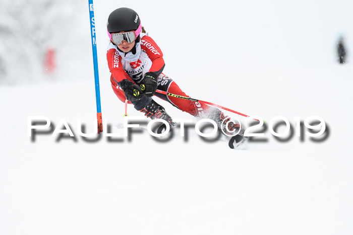 Werdenfelser Kinderskitag. mit Ziener und BZB Cup 2019