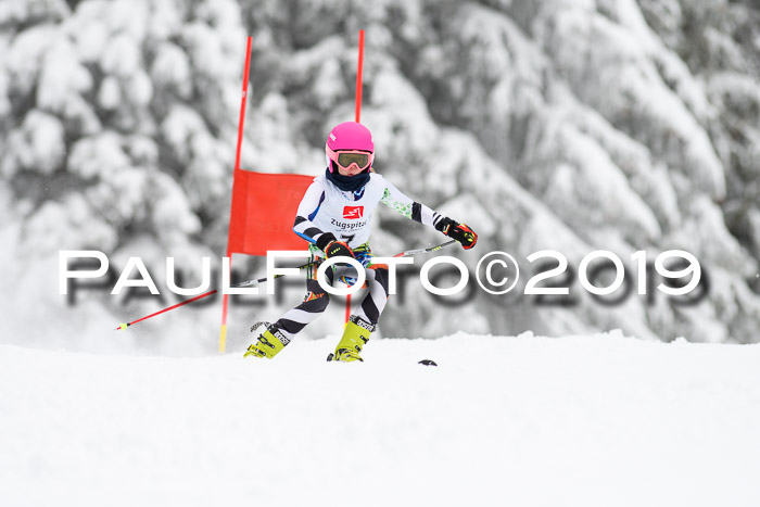 Werdenfelser Kinderskitag. mit Ziener und BZB Cup 2019