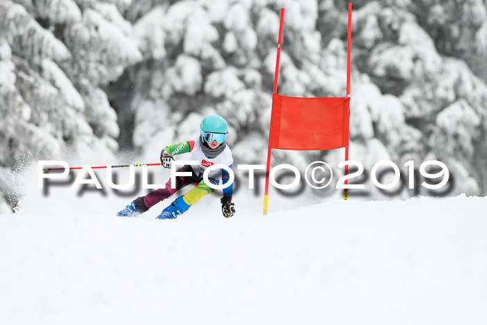 Werdenfelser Kinderskitag. mit Ziener und BZB Cup 2019