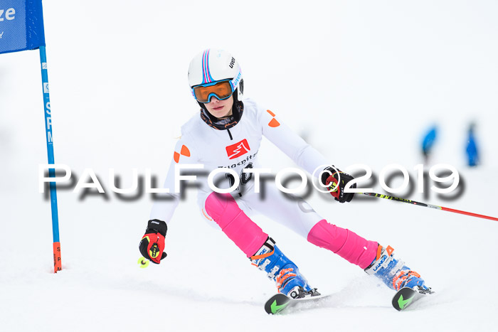 Werdenfelser Kinderskitag. mit Ziener und BZB Cup 2019