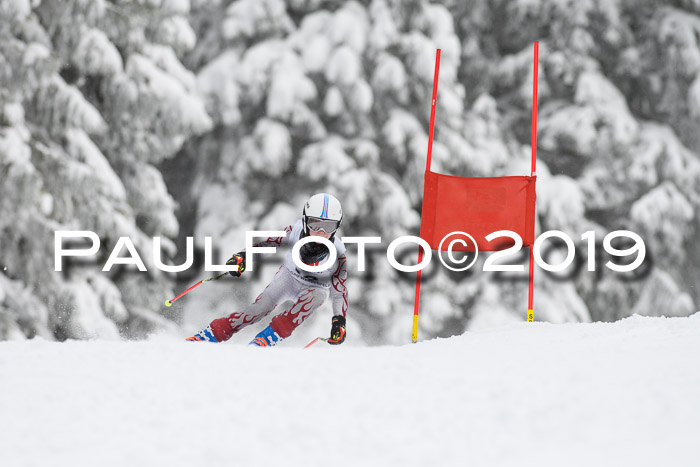 Werdenfelser Kinderskitag. mit Ziener und BZB Cup 2019