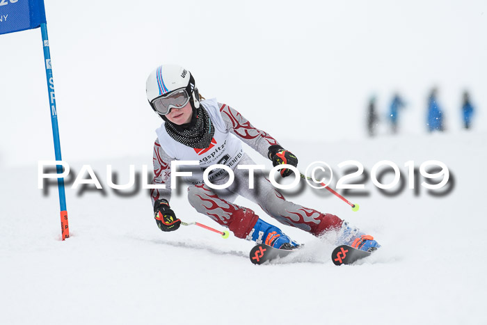 Werdenfelser Kinderskitag. mit Ziener und BZB Cup 2019
