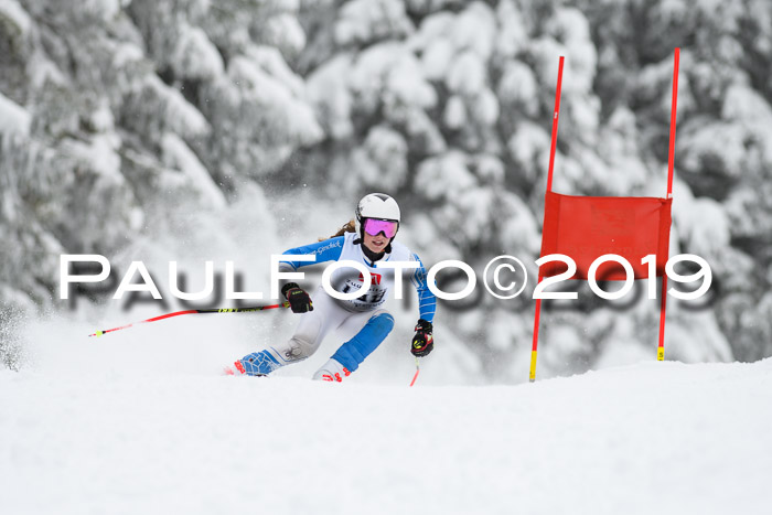Werdenfelser Kinderskitag. mit Ziener und BZB Cup 2019