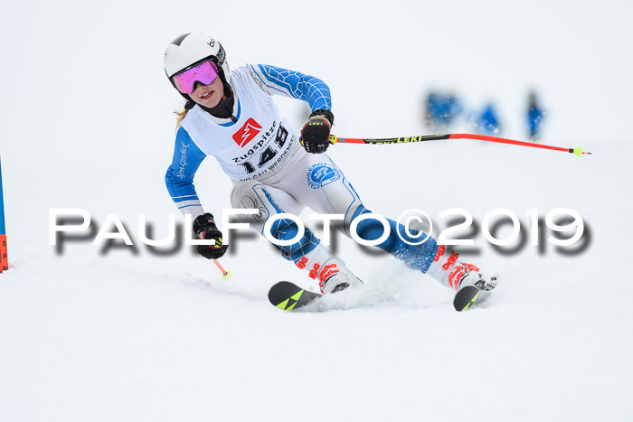 Werdenfelser Kinderskitag. mit Ziener und BZB Cup 2019