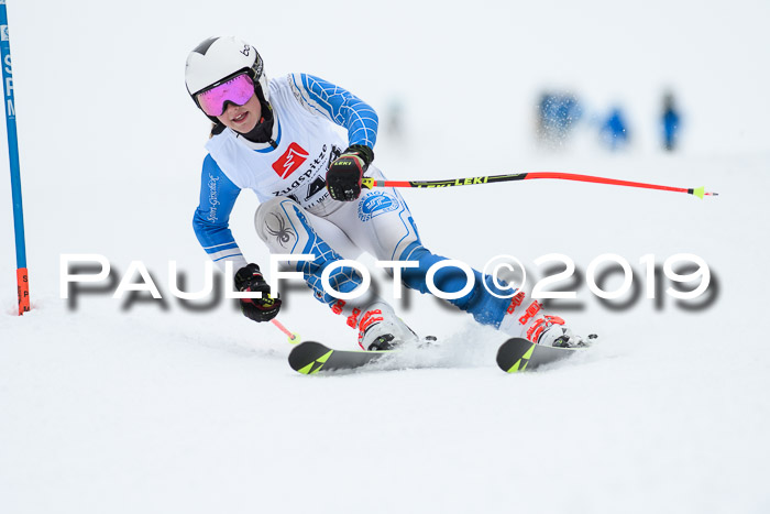 Werdenfelser Kinderskitag. mit Ziener und BZB Cup 2019