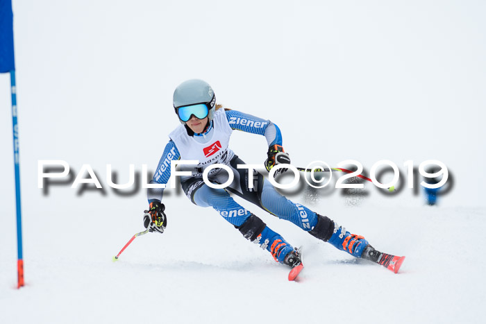 Werdenfelser Kinderskitag. mit Ziener und BZB Cup 2019
