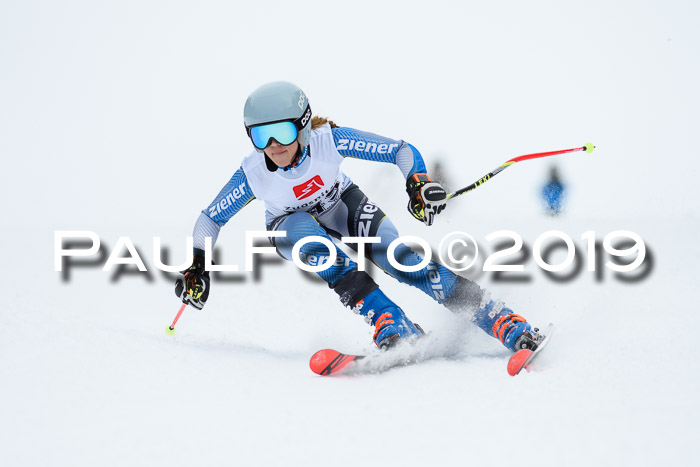 Werdenfelser Kinderskitag. mit Ziener und BZB Cup 2019