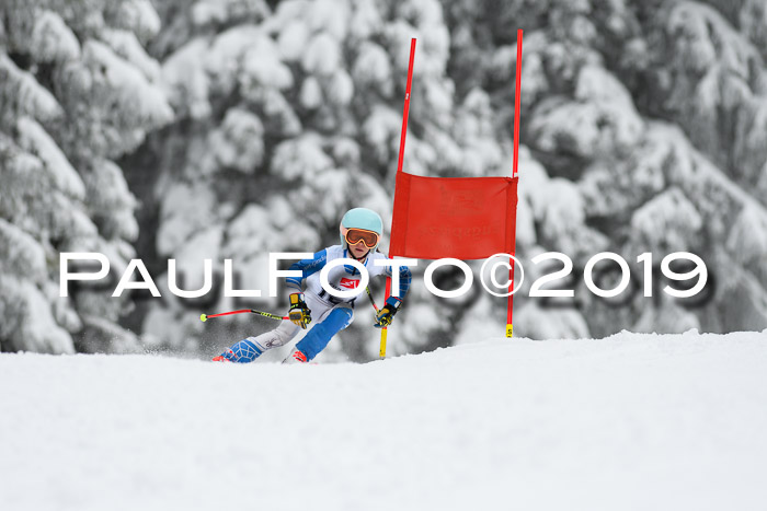 Werdenfelser Kinderskitag. mit Ziener und BZB Cup 2019
