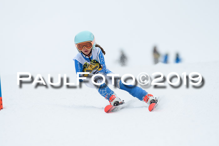 Werdenfelser Kinderskitag. mit Ziener und BZB Cup 2019