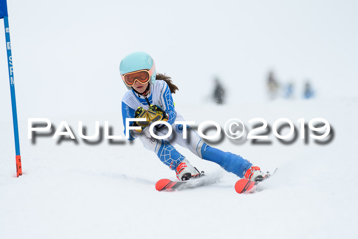 Werdenfelser Kinderskitag. mit Ziener und BZB Cup 2019