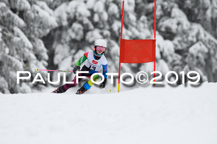 Werdenfelser Kinderskitag. mit Ziener und BZB Cup 2019