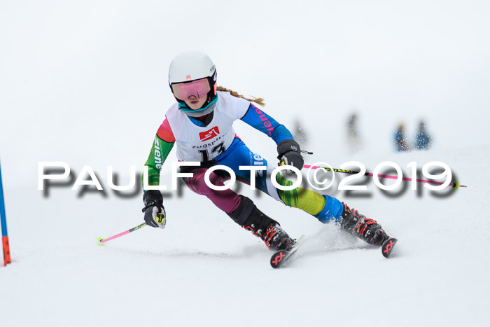 Werdenfelser Kinderskitag. mit Ziener und BZB Cup 2019