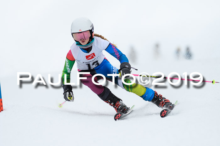 Werdenfelser Kinderskitag. mit Ziener und BZB Cup 2019