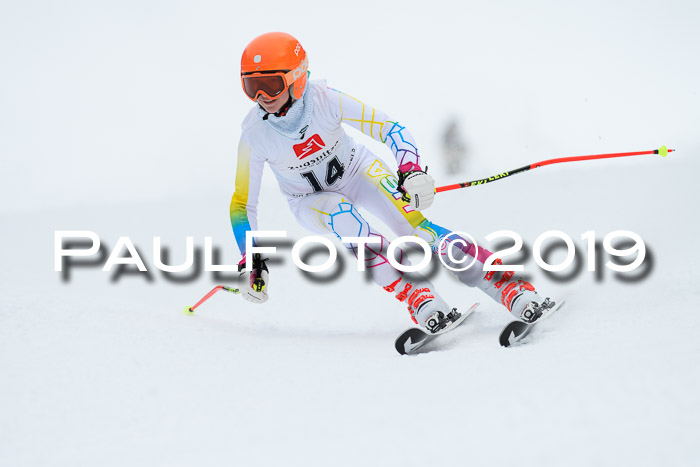 Werdenfelser Kinderskitag. mit Ziener und BZB Cup 2019