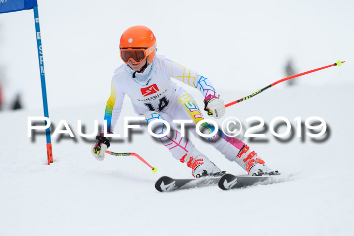 Werdenfelser Kinderskitag. mit Ziener und BZB Cup 2019