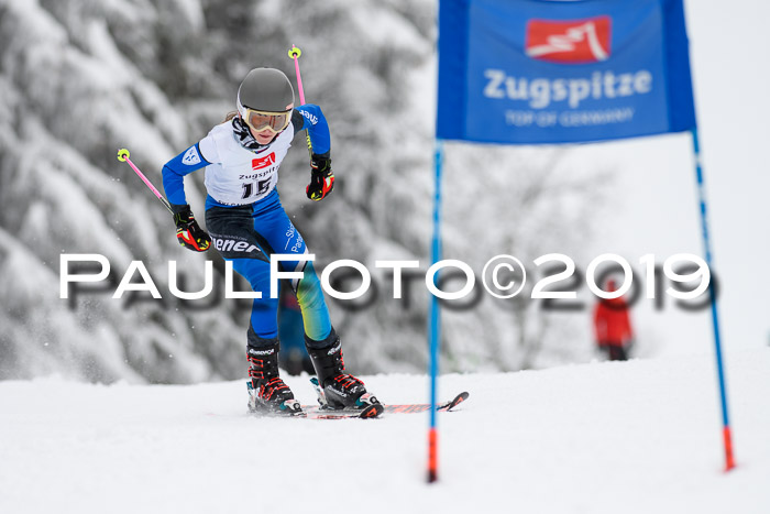 Werdenfelser Kinderskitag. mit Ziener und BZB Cup 2019