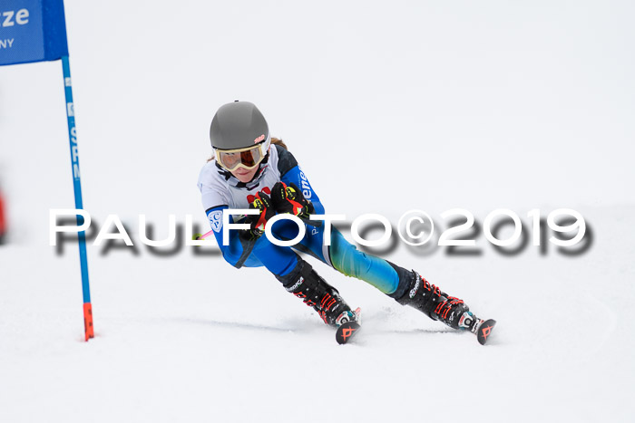 Werdenfelser Kinderskitag. mit Ziener und BZB Cup 2019