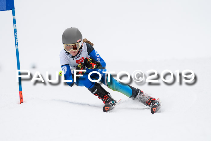 Werdenfelser Kinderskitag. mit Ziener und BZB Cup 2019