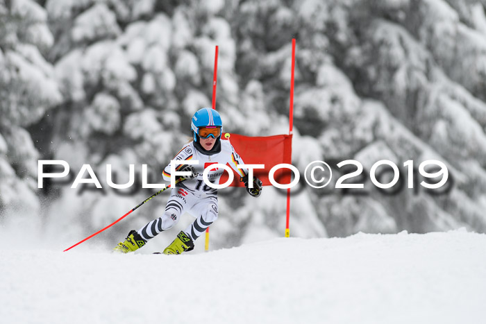 Werdenfelser Kinderskitag. mit Ziener und BZB Cup 2019