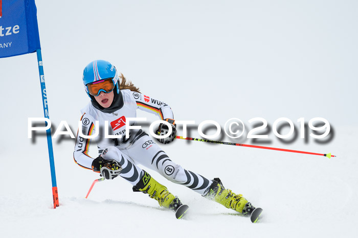 Werdenfelser Kinderskitag. mit Ziener und BZB Cup 2019