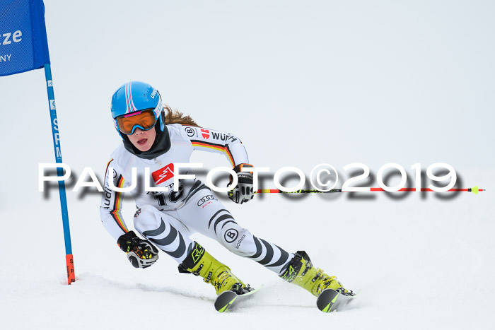 Werdenfelser Kinderskitag. mit Ziener und BZB Cup 2019