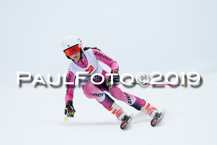Werdenfelser Kinderskitag. mit Ziener und BZB Cup 2019
