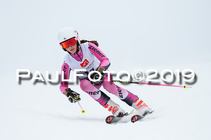 Werdenfelser Kinderskitag. mit Ziener und BZB Cup 2019