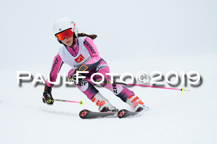 Werdenfelser Kinderskitag. mit Ziener und BZB Cup 2019