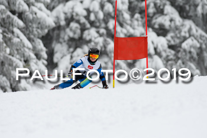 Werdenfelser Kinderskitag. mit Ziener und BZB Cup 2019