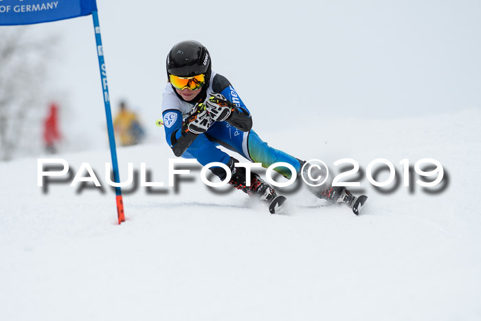 Werdenfelser Kinderskitag. mit Ziener und BZB Cup 2019