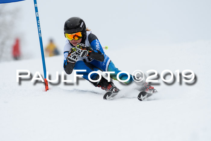 Werdenfelser Kinderskitag. mit Ziener und BZB Cup 2019