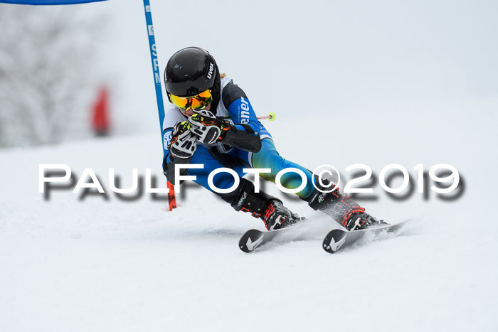Werdenfelser Kinderskitag. mit Ziener und BZB Cup 2019