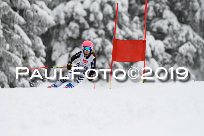 Werdenfelser Kinderskitag. mit Ziener und BZB Cup 2019