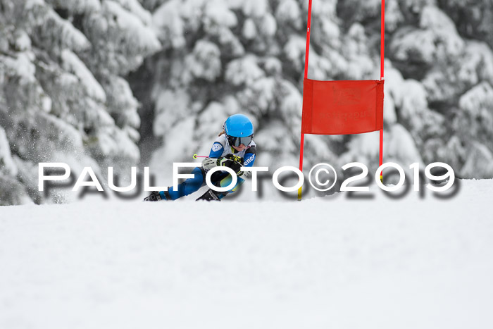 Werdenfelser Kinderskitag. mit Ziener und BZB Cup 2019