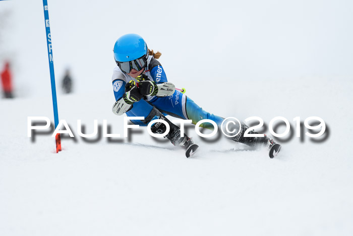 Werdenfelser Kinderskitag. mit Ziener und BZB Cup 2019