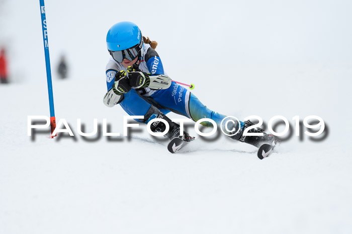 Werdenfelser Kinderskitag. mit Ziener und BZB Cup 2019